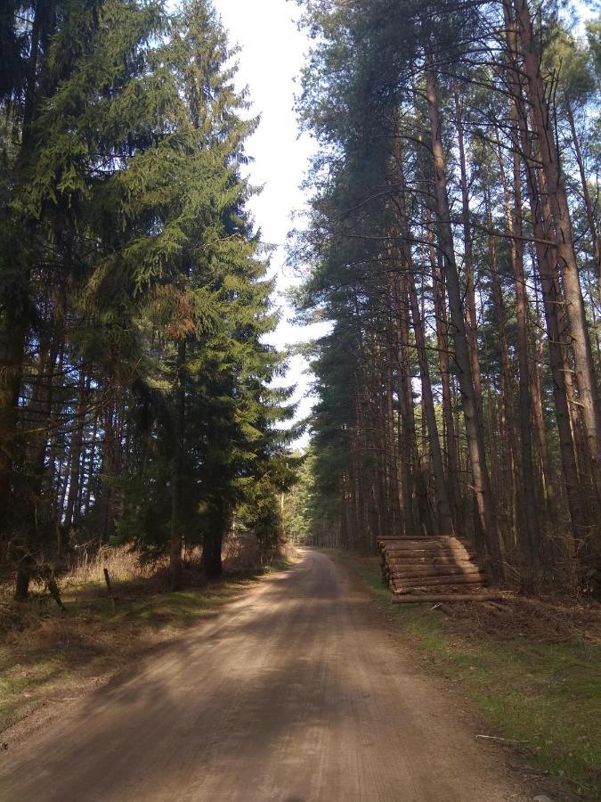 W Starej Szkole - Agroturystyka Pieczarki Exterior foto