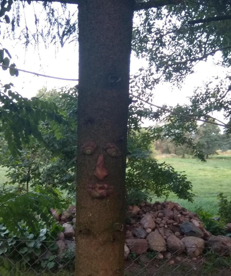 W Starej Szkole - Agroturystyka Pieczarki Exterior foto