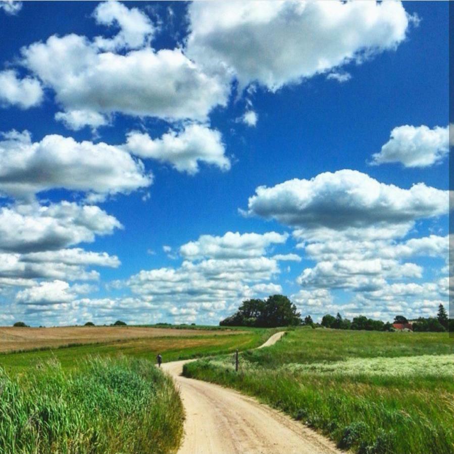 W Starej Szkole - Agroturystyka Pieczarki Exterior foto