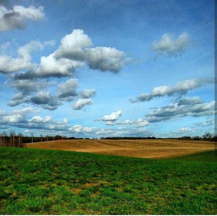 W Starej Szkole - Agroturystyka Pieczarki Exterior foto