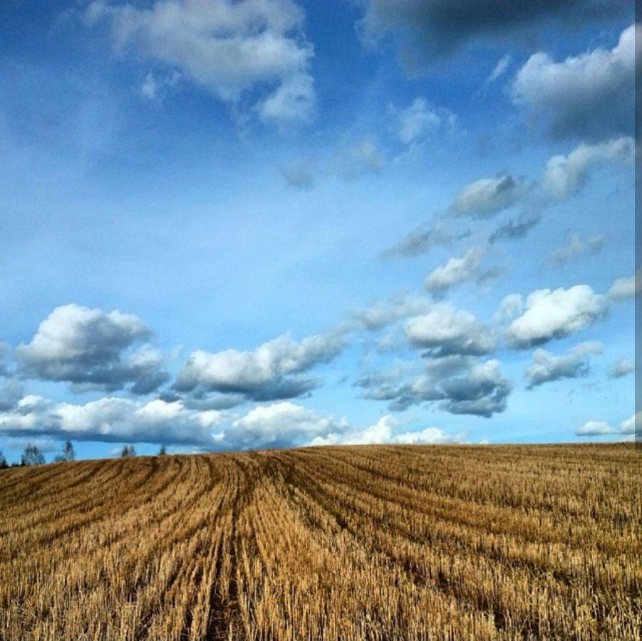 W Starej Szkole - Agroturystyka Pieczarki Exterior foto